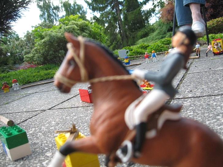 DM for Schleich heste. - Tredje rytter var ret uheldig. De kom godt over de første spring men ved oxeren stoppede hesten og de udgik da hun faldt af. billede 59