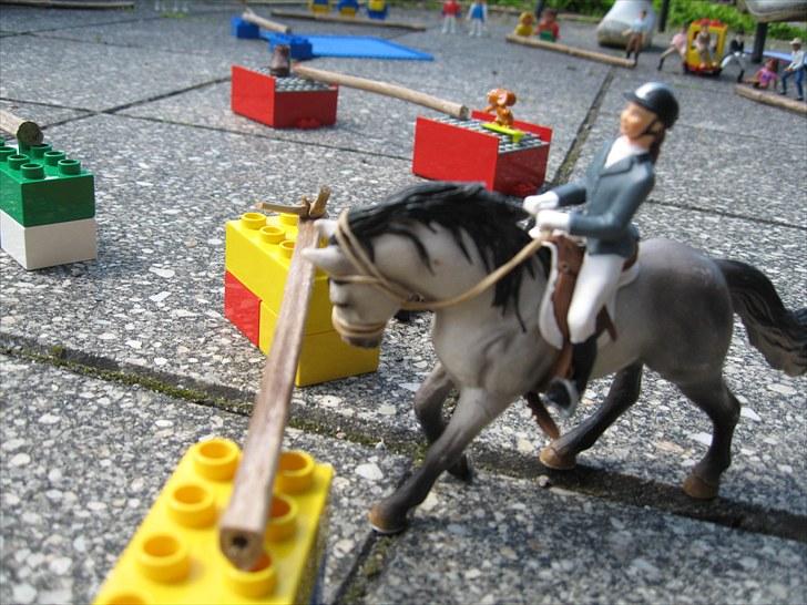 DM for Schleich heste. - Fjerde rytter var Catharina på hesten Borchøj's Maccoy. 
De red første runde med 0 fejl. Omspringningen med 0 fejl og tiden 18 sek. 
Det svarede til en 1-plads. billede 65