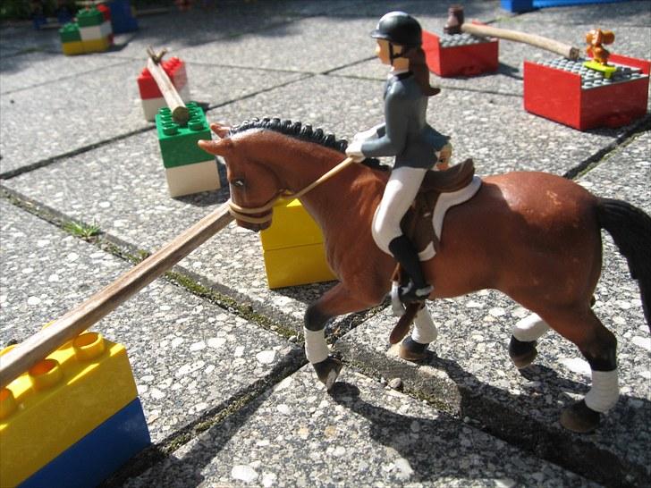 DM for Schleich heste. - Femte rytter var Mette på Borchhøj's Melissa.
De red første runde med 8 fejl og gik derfor ikke videre til omspringningen. billede 67