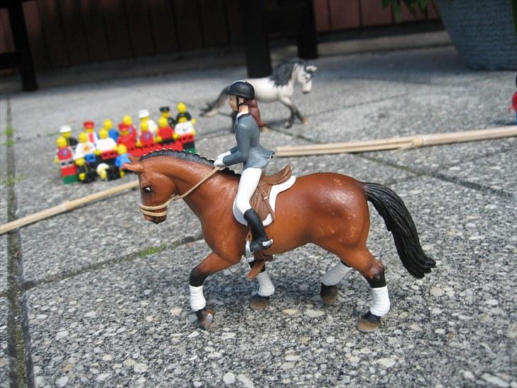 DM for Schleich heste. billede 69