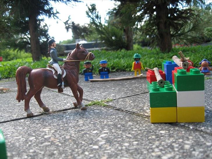 DM for Schleich heste. billede 71