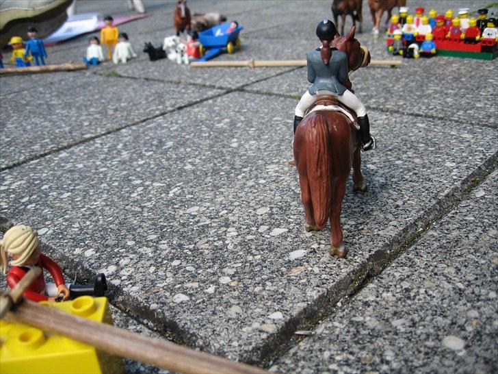 DM for Schleich heste. billede 72