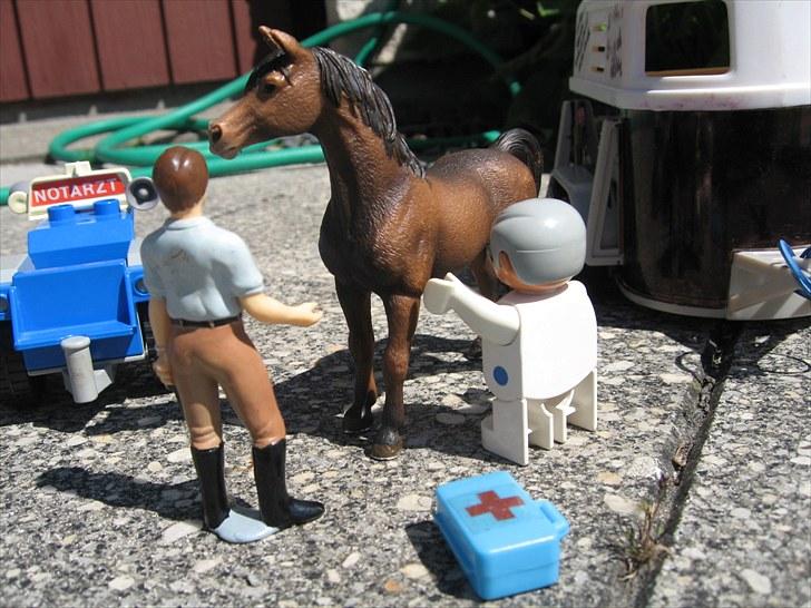 DM for Schleich heste. - Borchhøj's Abaza kom desværre til skade og måtte trække sig fra springning og terræn. billede 73