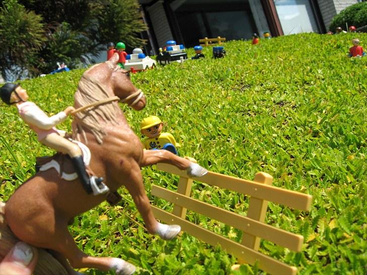 DM for Schleich heste. - Første rytter var Anika Nielsen på Surprise DiFir'
De havde 20 fejl som svarer til 1 en fejl billede 77