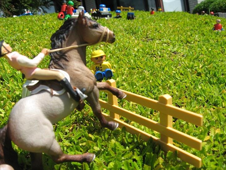 DM for Schleich heste. - Anden rytter var Camille Østergaard på Sjeltaray Like Noir.
De red og banen med 20 fejl = en fejl billede 79