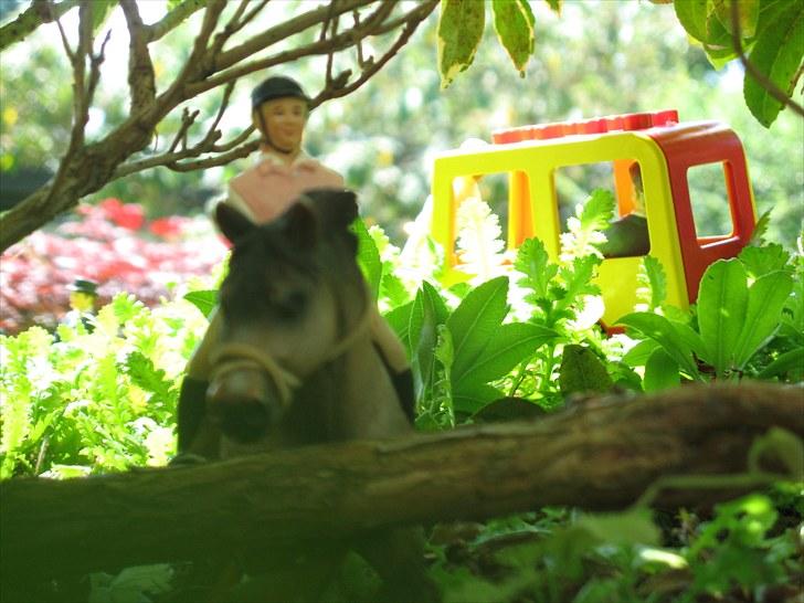 DM for Schleich heste. - Skovspringet billede 80