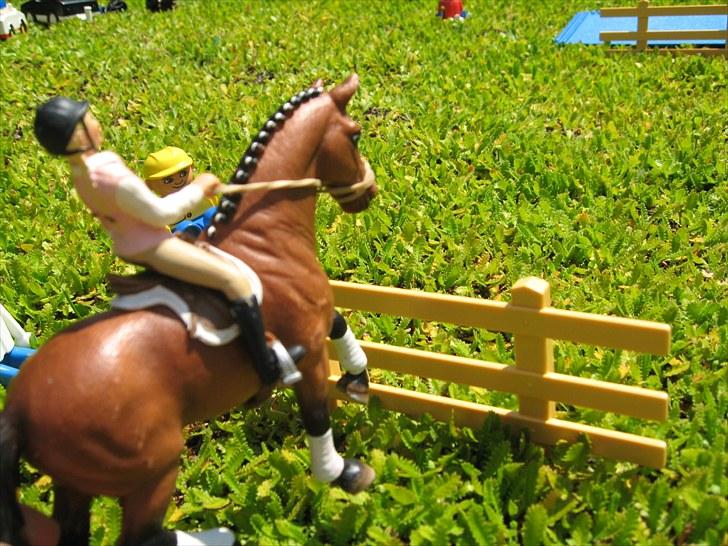 DM for Schleich heste. - Tredje rytter var AniJosefine Svendsen på Skovvangs Palanitra.
De red banen med 20 fejl = 1 fejl billede 81