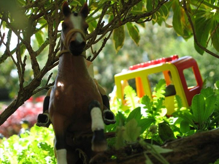 DM for Schleich heste. - Skovspringet billede 82