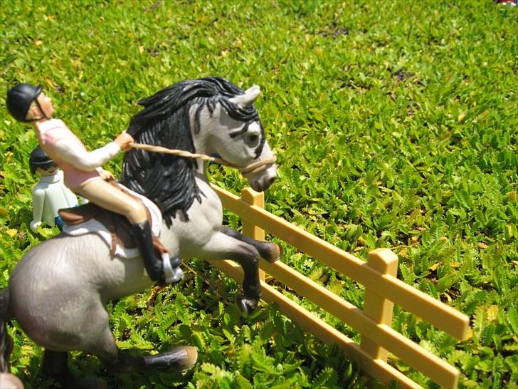 DM for Schleich heste. - Fjerde rytter var Catharina på Borchhøj's Maccoy.
De red banen med 40 fejl= 2 fejl. billede 83