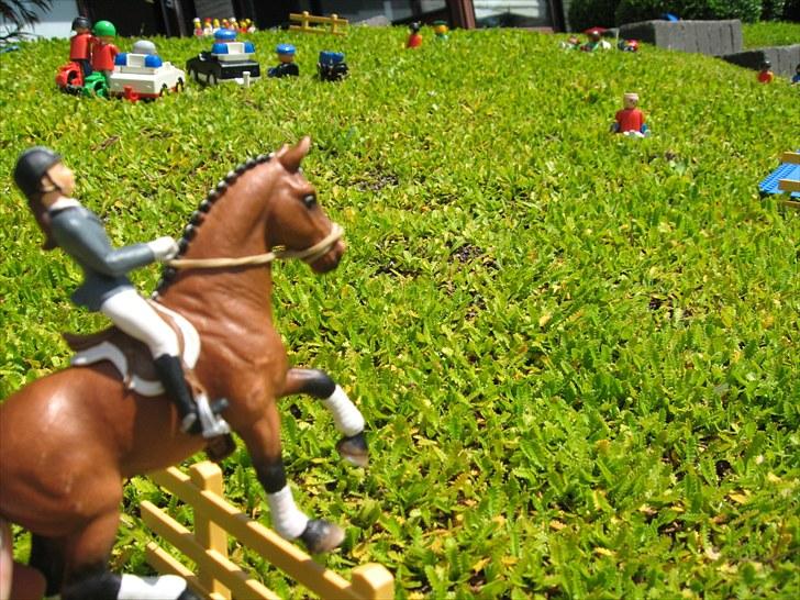 DM for Schleich heste. - Femte rytter var Mette på Borchøj's Melissa.
De red banen med 20 fejl=1 fejl billede 85