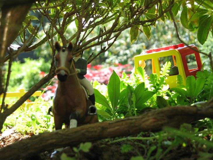 DM for Schleich heste. - Skovspringet billede 86