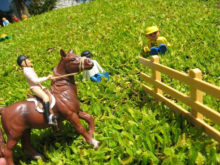 DM for Schleich heste. - Sidste rytter var Emma Gro Kloster.
Hun red banen med 0 fejl så hun vandt terræn klassen. Flot. billede 87