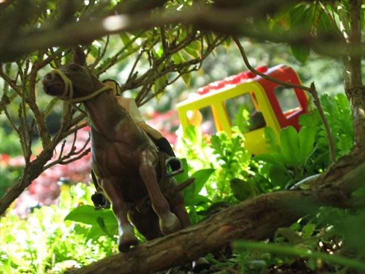 DM for Schleich heste. - Skovspringet billede 88