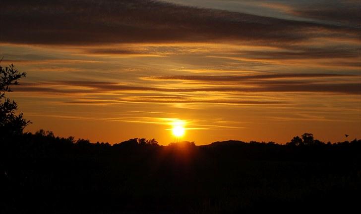 De første par billeder (; billede 9