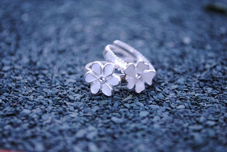 De første par billeder (; billede 12