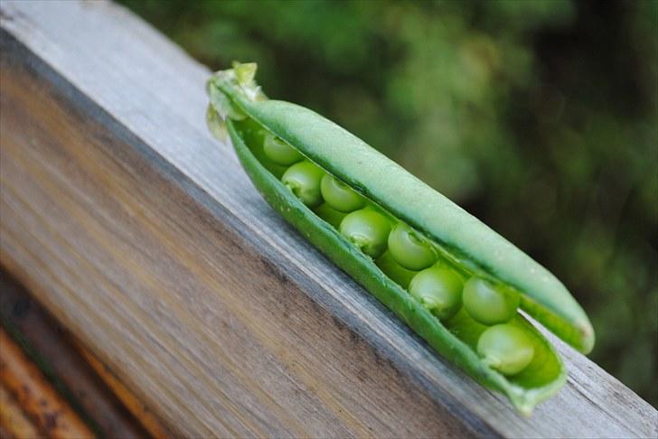 De første par billeder (; billede 13