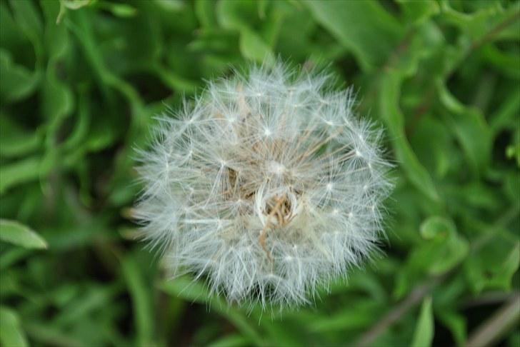 De første par billeder (; billede 16