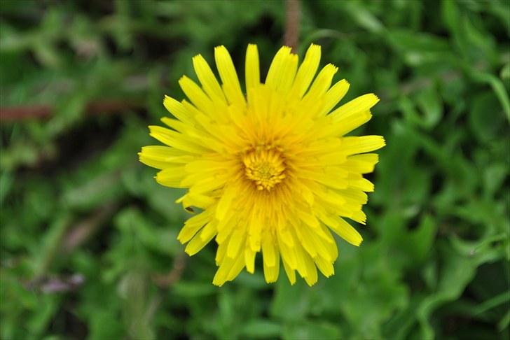 De første par billeder (; billede 17