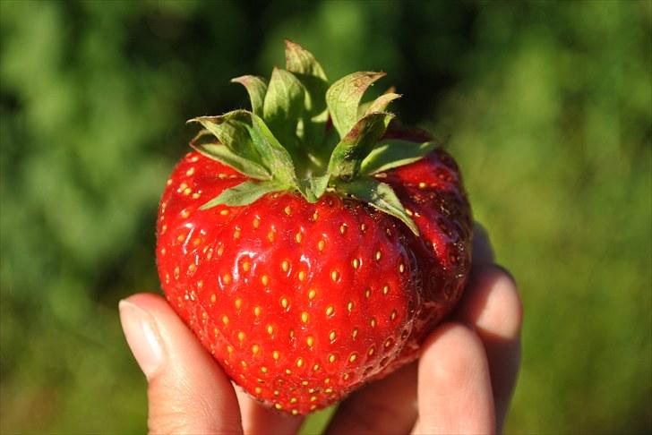 De første par billeder (; billede 24