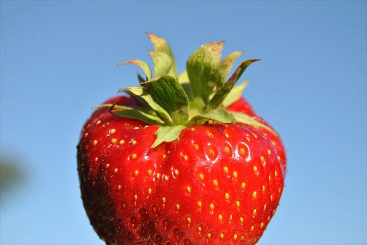 De første par billeder (; billede 25