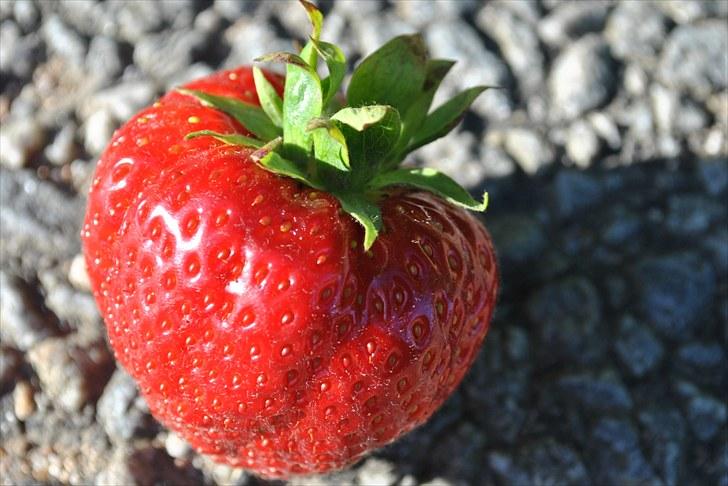 De første par billeder (; billede 26