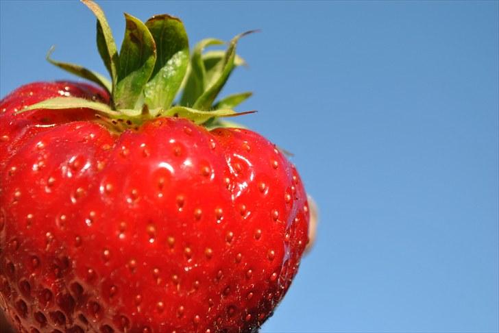 De første par billeder (; billede 27