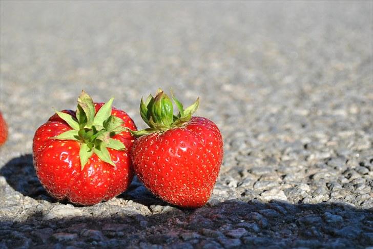 De første par billeder (; billede 28