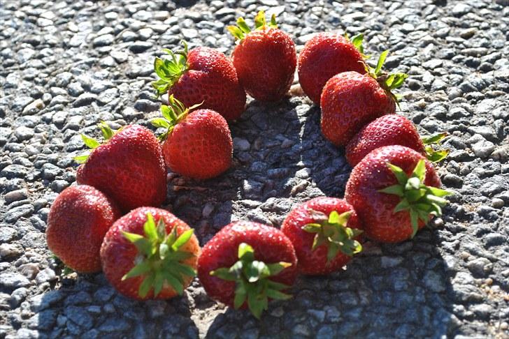 De første par billeder (; billede 30