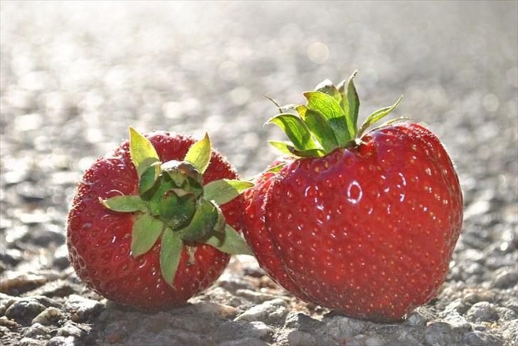 De første par billeder (; billede 1