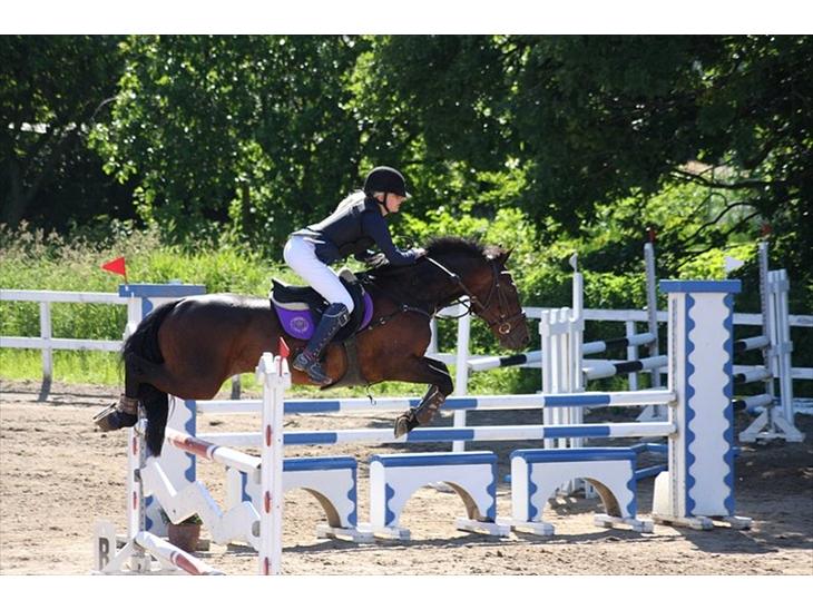 {{currentPhoto.altText}} billede {{currentPhoto.number}}