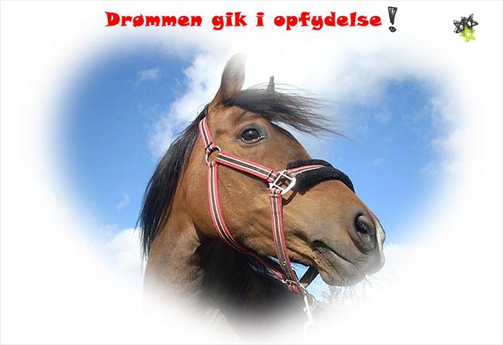 Billeder jeg har lavet  - Til Cecilie
Det er kun hende der må tage billedet billede 8