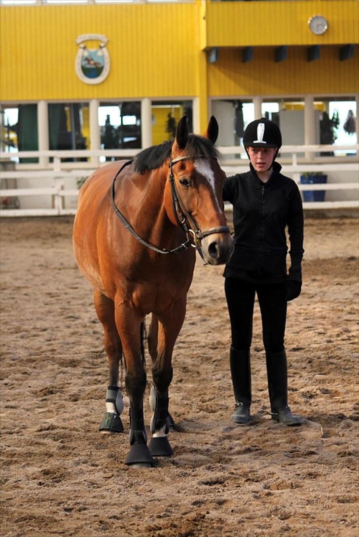 Michelle & Mirou dressurundervisning 30/6 - Mirou laver parade ved hjælp fra min stemme billede 6