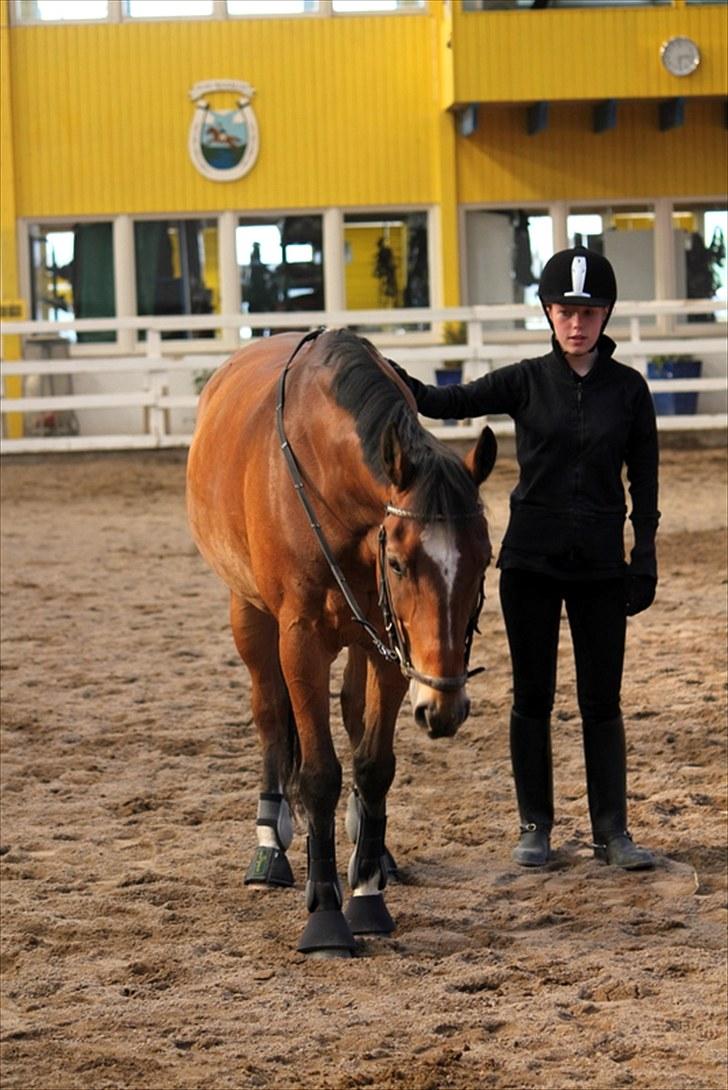 Michelle & Mirou dressurundervisning 30/6 - Mirou går fremad via berørning på hans bagpart og opmundring billede 7