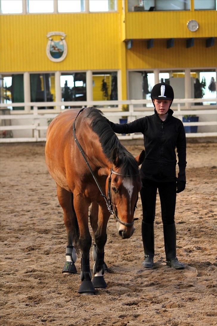 Michelle & Mirou dressurundervisning 30/6 - Mirou skal til at lave volte, via berørning på hans bagpart og opmundring billede 8