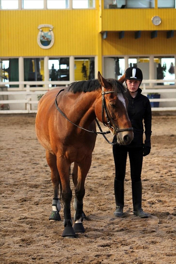 Michelle & Mirou dressurundervisning 30/6 - Mirou rundt i en volte billede 9