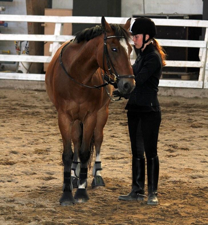 Michelle & Mirou dressurundervisning 30/6 - Mirou laver forpartsvending billede 11