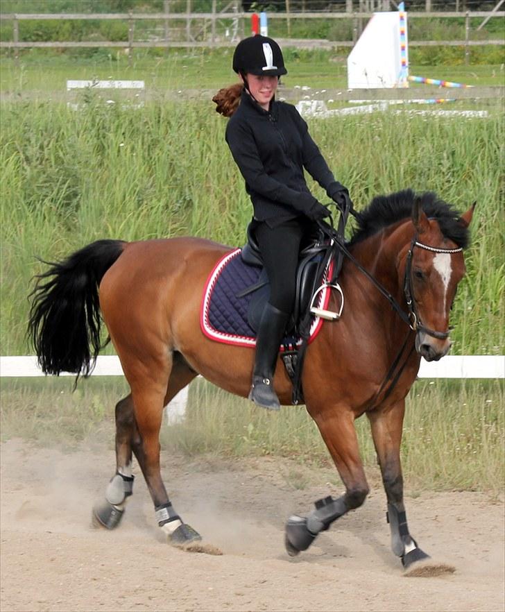 Michelle & Mirou dressurundervisning 30/6 - Mirou du for lækker billede 14