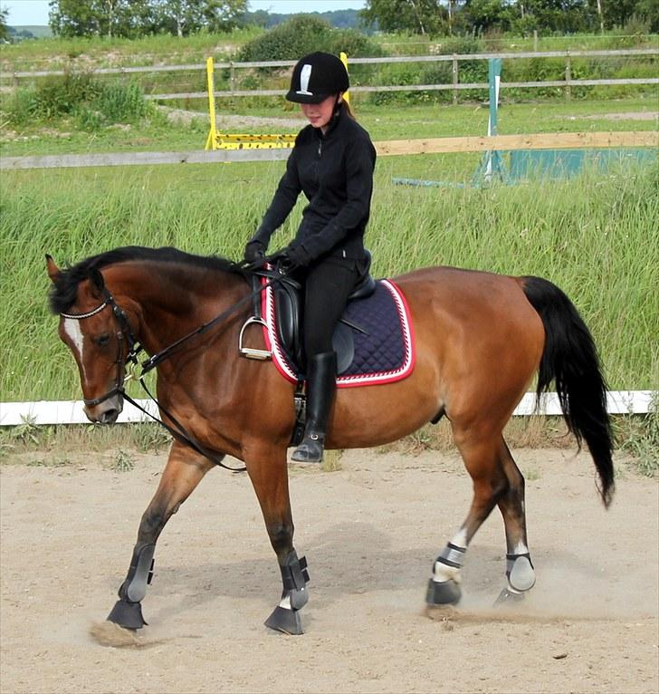 Michelle & Mirou dressurundervisning 30/6 - Mirou ingen er som dig billede 15