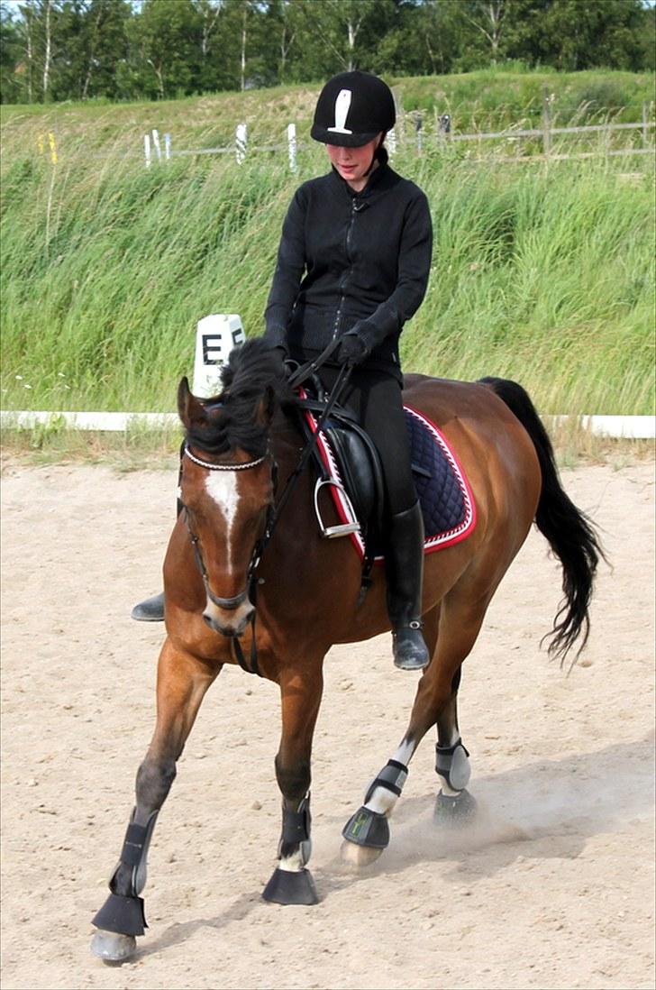 Michelle & Mirou dressurundervisning 30/6 - Det ser godt ud :) dygtig Rouski billede 16