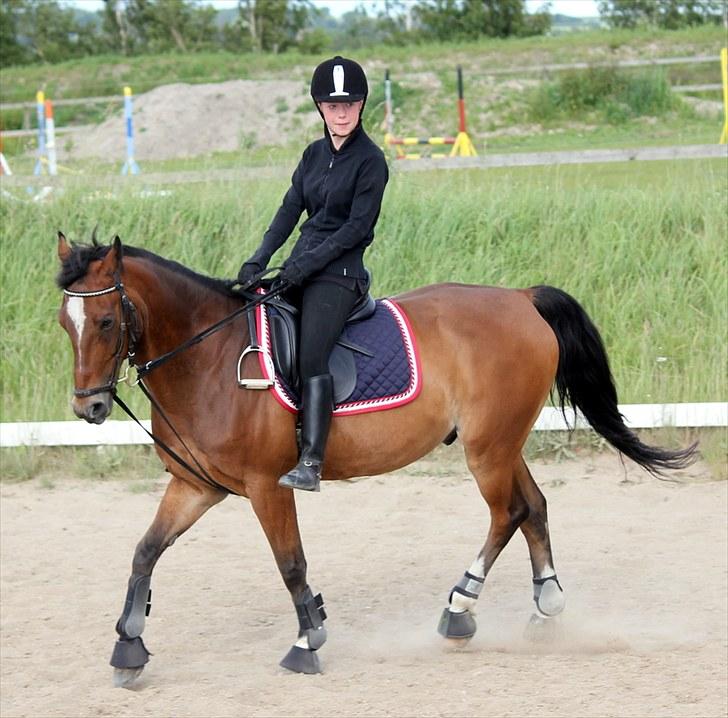 Michelle & Mirou dressurundervisning 30/6 - Det er første gang, at jeg rider udenfor på ham uden bøjler.. Så synes jeg klaret det rigtig godt, samt Mirou gik godt. billede 17