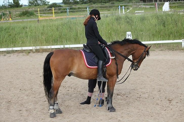 Michelle & Mirou dressurundervisning 30/6 - Lea giver mig Ros :D billede 18