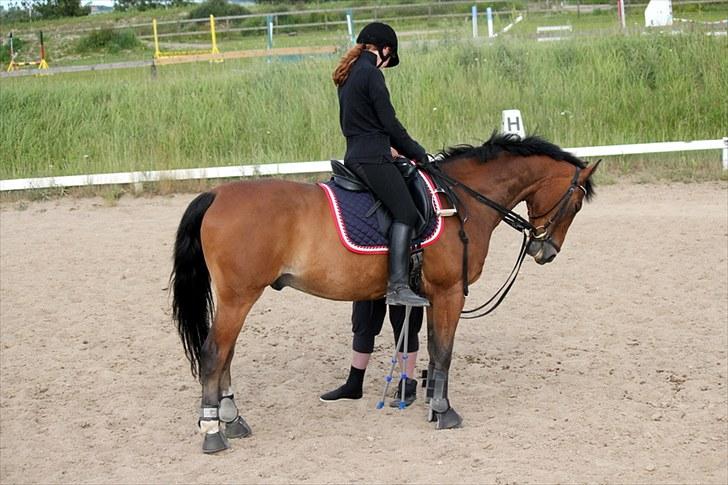 Michelle & Mirou dressurundervisning 30/6 - Flot parade billede 19