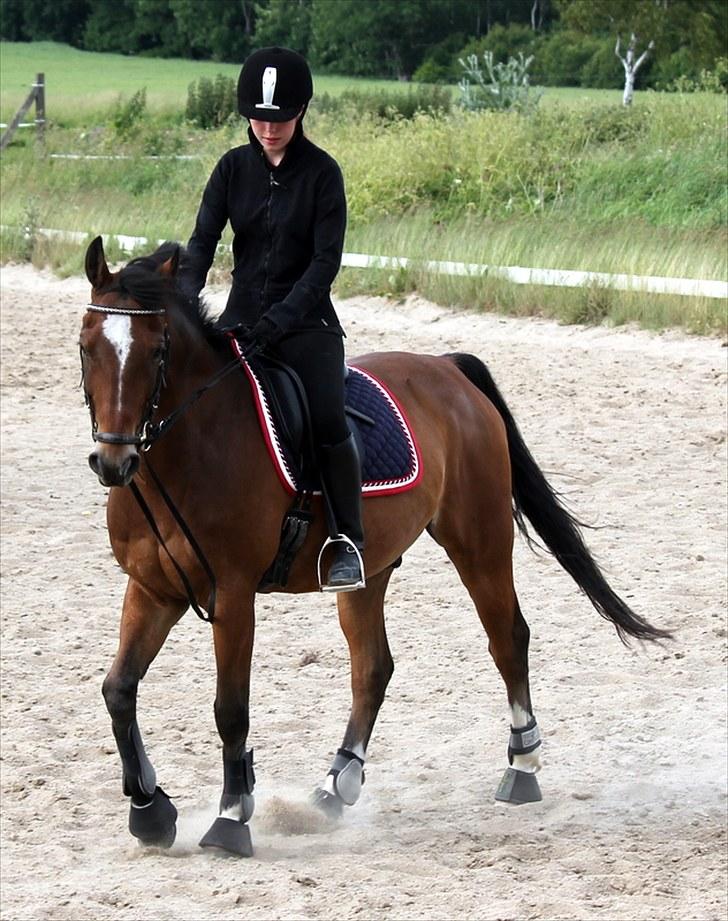 Michelle & Mirou dressurundervisning 30/6 - Min gude smukke hest billede 20