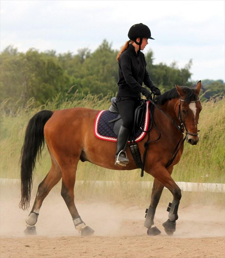 Michelle & Mirou dressurundervisning 30/6 - Sckelvigning til højre billede 23