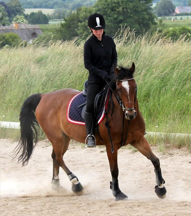 Michelle & Mirou dressurundervisning 30/6 - Lille gallop tur billede 24