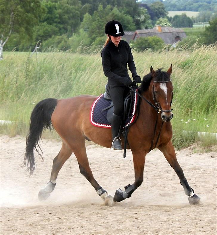 Michelle & Mirou dressurundervisning 30/6 - Øgning med bagpart :D billede 25