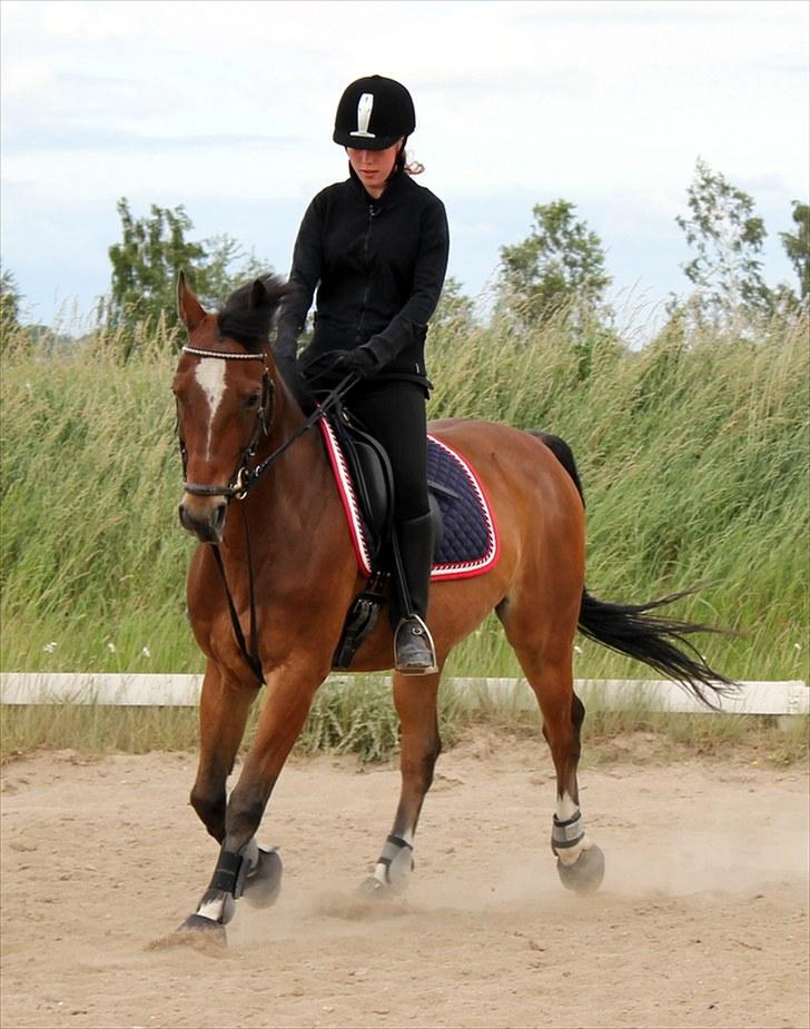 Michelle & Mirou dressurundervisning 30/6 - Lidt blæret forben billede 26