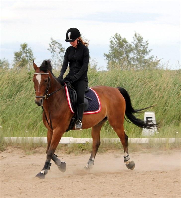 Michelle & Mirou dressurundervisning 30/6 - Charmetrold billede 27