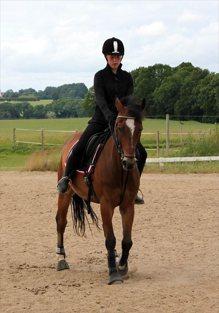 Michelle & Mirou dressurundervisning 30/6 - Schenkelvigning billede 28