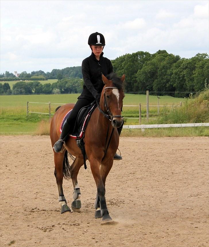 Michelle & Mirou dressurundervisning 30/6 - Schenkelvigning billede 29